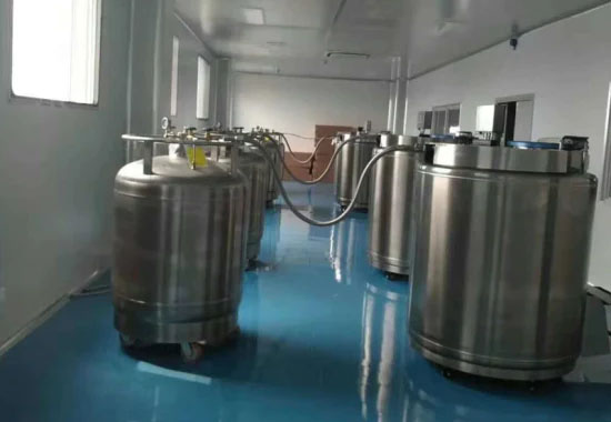 氣相存儲 氣相存儲